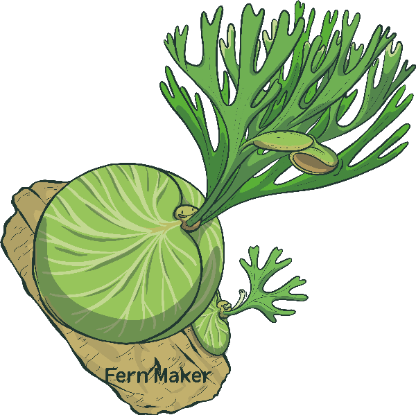 Digital Creator的作品